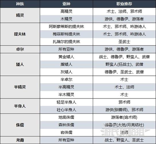 博德之门3游荡者副职业选择攻略:探寻最佳副职业推荐