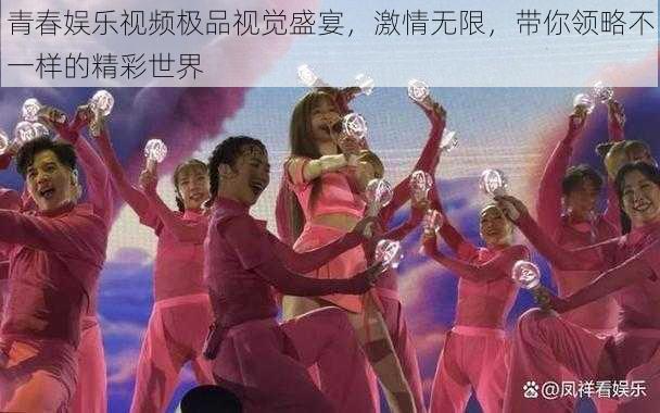 青春娱乐视频极品视觉盛宴,激情无限,带你领略不一样的精彩世界