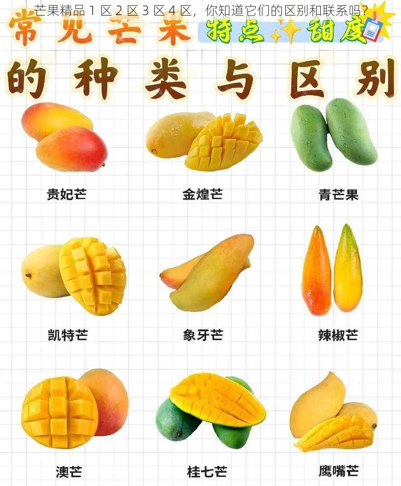 芒果精品 1 区 2 区 3 区 4 区,你知道它们的区别和联系吗?