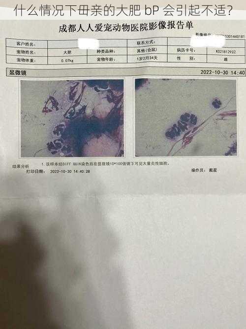 什么情况下毌亲的大肥 bP 会引起不适?