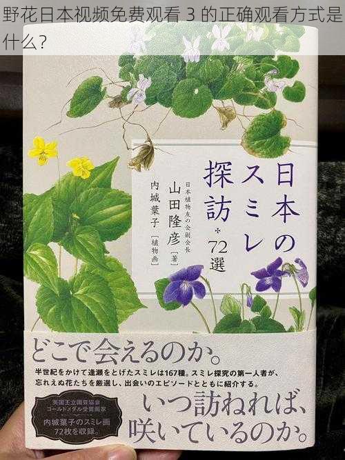 野花日本视频免费观看 3 的正确观看方式是什么?