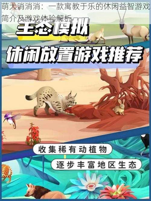萌犬消消消:一款寓教于乐的休闲益智游戏简介及游戏体验解析