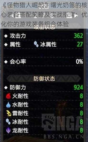 《怪物猎人崛起》曙光奶笛的核心装备搭配策略及实战指南:优化你的游戏装备组合体验